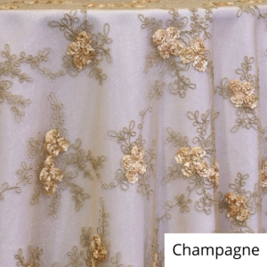 Champagne Baby Rose Lace