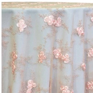 Blush pink floral lace overlay with soft pale blue background, delicate embroidered fabric.