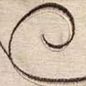 Decorative curved calligraphic spiral line in dark ink on textured beige paper.