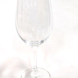 Empty clear glass wine stemware with slender stem and classic bowl shape for event rentals.