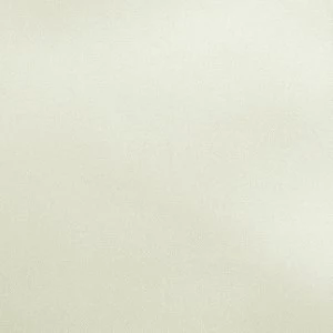 Solid pale mint green neutral fabric texture with subtle woven pattern and uniform color.