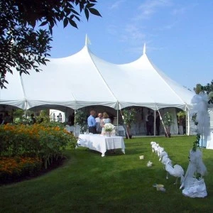 Large white peak-top event tent on green lawn with decorated tables and white decorative statues.