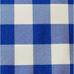 Blue and white buffalo check gingham fabric with woven texture for table linen rental.