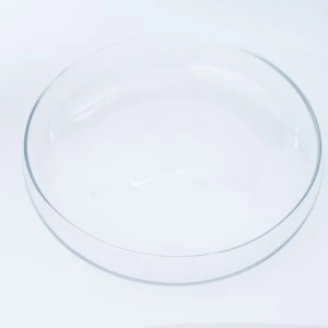 Transparent glass or plastic petri dish with smooth curved edges on white background.