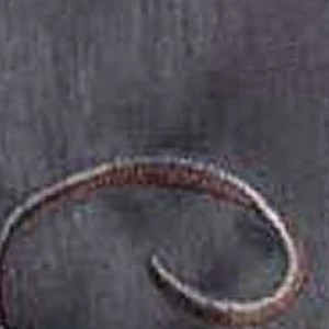 Curved copper-toned metallic ring or bracelet on gray textured surface.