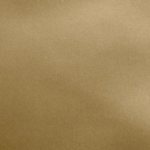 Solid beige or tan textured background with fine uniform grainy surface.