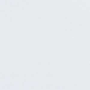 Solid pale blue-gray blank background, smooth and uniform in color and texture.