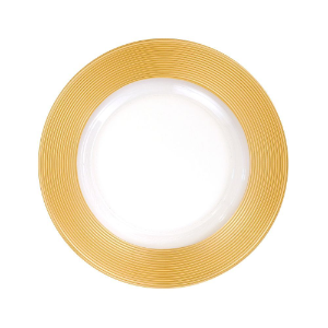 Charger Saturn Gold Rim 13in