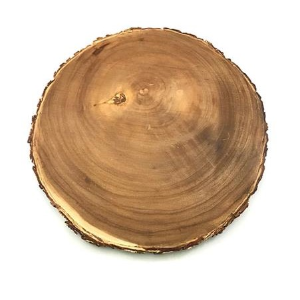 Charger Wood Slice 13in