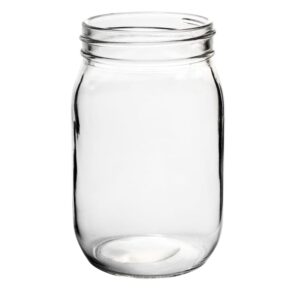 Mason Jar with Handle (25)