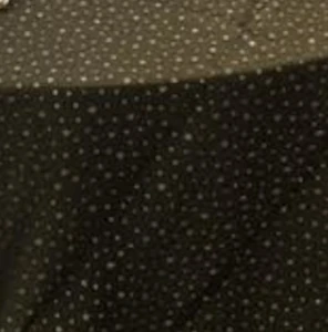 Organza Black Gold Star