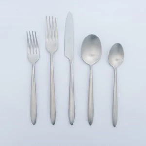 Silver stainless steel flatware set with five utensils: two forks, one knife, and two spoons.